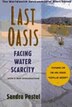 Last Oasis