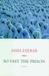 So Vast the Prison: A Novel