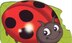 Chunky Ladybug
