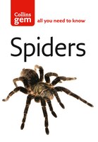 Gem Spiders