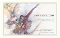 The Peregrine Returns: The Art And Architecture Of An Urban 