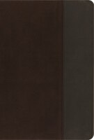 Niv, Quest Study Bible, Imitation Leather, Brown/gray, 