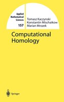 Computational Homology