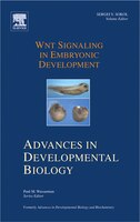 Wnt Signaling In Embryonic Development