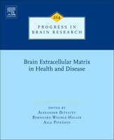 Brain Extracellular Matrix In Health And Disease