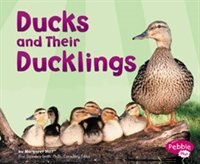 Ducks And Their Ducklings