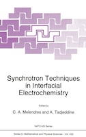 Synchrotron Techniques In Interfacial Electrochemistry