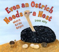 Even An Ostrich Needs A Nest: Where Birds Begin