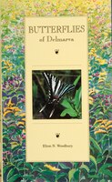 Butterflies Of Delmarva