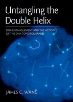 Untangling The Double Helix: Dna Entanglement And The Action Of The Dna Topoisomerases