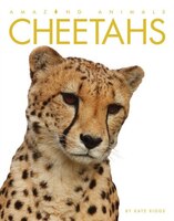 Amazing Animals:  Cheetahs