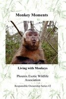 Monkey Moments