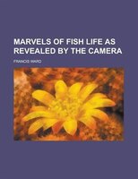 Marvels Of Fish Life As Revealed By The Camera