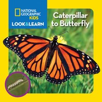 National Geographic Kids Look And Learn:  Caterpillar To 