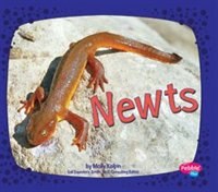 Newts
