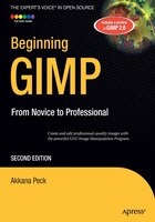 Beginning Gimp: From Novice To Professional