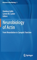 Neurobiology Of Actin: From Neurulation To Synaptic Function