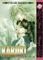 Kabuki Volume 4:  Green (yaoi)