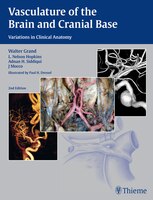 Vasculature Of The Brain And Cranial Base