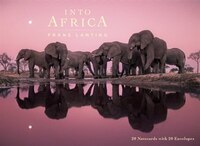Into Africa Wildlife:  Blank Boxed Notecards