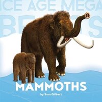 Ice Age Mega Beasts:  Mammoths