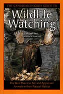 The Canadian Rockies Guide To Wildlife Watching: The Best Places To See And Appreciate Animals In Their Natural Habitat