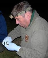Social Calls Of The Bats Of Britain And Ireland