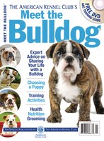 Meet The Bulldog