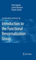 Introduction To The Functional Renormalization Group