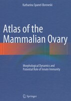 Atlas Of The Mammalian Ovary: Morphological Dynamics And Potential Role Of Innate Immunity