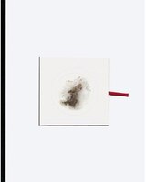 Cai Guo-qiang:  Head On