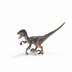 Velociraptor