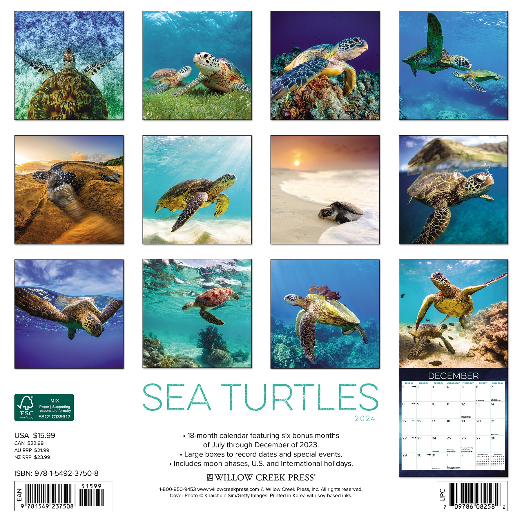 Willow Creek Press 2024 Wall Calendar Sea Turtles Willowbrook