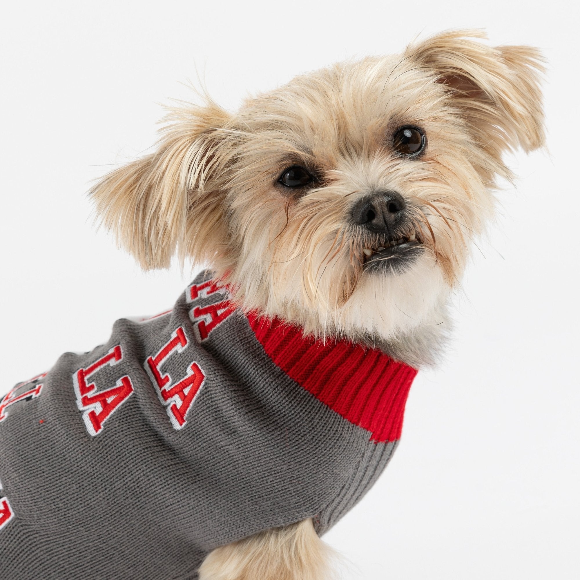 Dog hot sale llama sweater