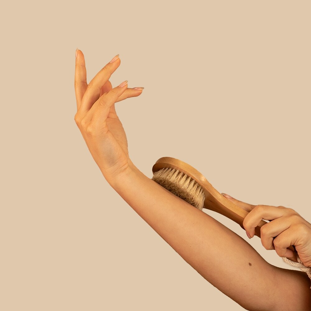 Midnight Paloma Body Dry Brush Willowbrook Shopping Centre