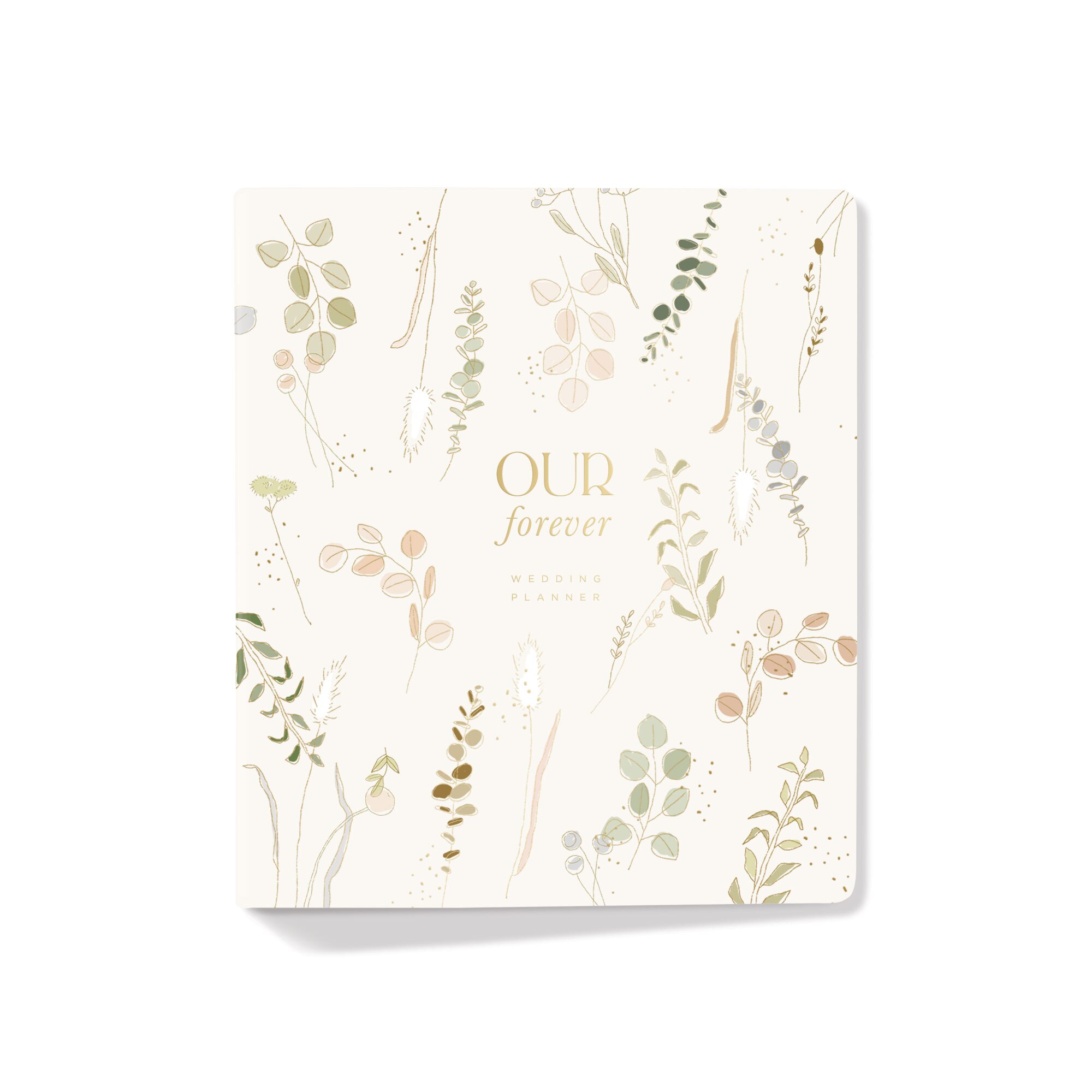 Fringe Studio Adventure Begins Wedding Planner The Pen Centre