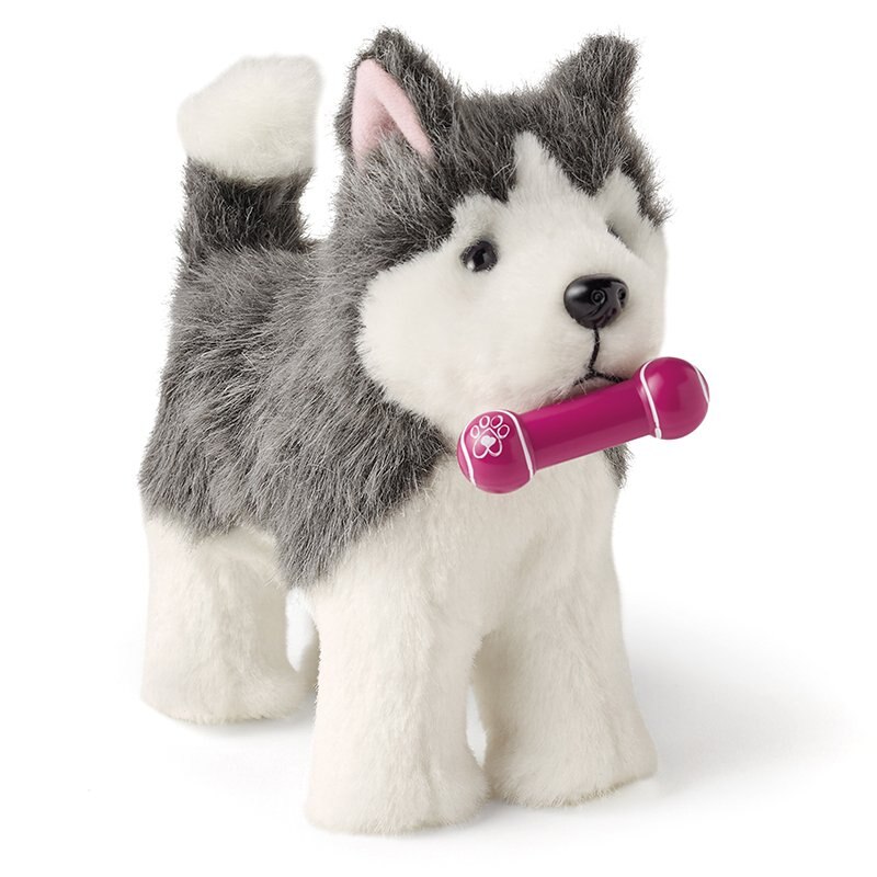 american girl husky dog