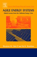 Agile Energy Systems: Global Lessons From The California Energy Crisis