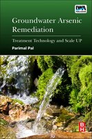 Groundwater Arsenic Remediation: Treatment Technology And Scale Up