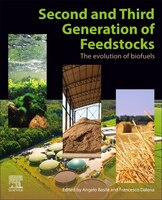 Second And Third Generation Of Feedstocks: The Evolution Of Biofuels
