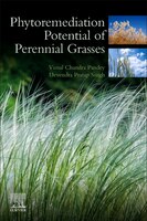 Phytoremediation Potential Of Perennial Grasses