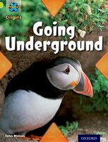 Project X Origins: Lime Book Band, Oxford Level 11 Underground: Going Underground