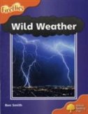 Oxford Reading Tree: Stage 6 New Edition Wild Weather