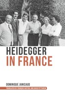 Heidegger In France