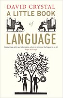 A Little Book of Language