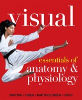 Visual Essentials Of Anatomy & Physiology