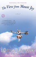 View from Mount Joy : A Novel