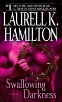 Swallowing Darkness: A Novel