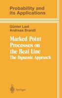 Marked Point Processes on the Real Line: The Dynamical Approach