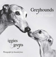 Greyhounds Big And Small: Iggies And Greyts